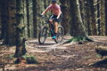 SHIMANO Shoes SHXC502 women's blue