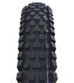 SCHWALBE Plášť ALBERT GRAVITY PRO (63-622) 29x2.50 Evolution 67EPI Radial 1330g Čierny TLR Ultra Soft